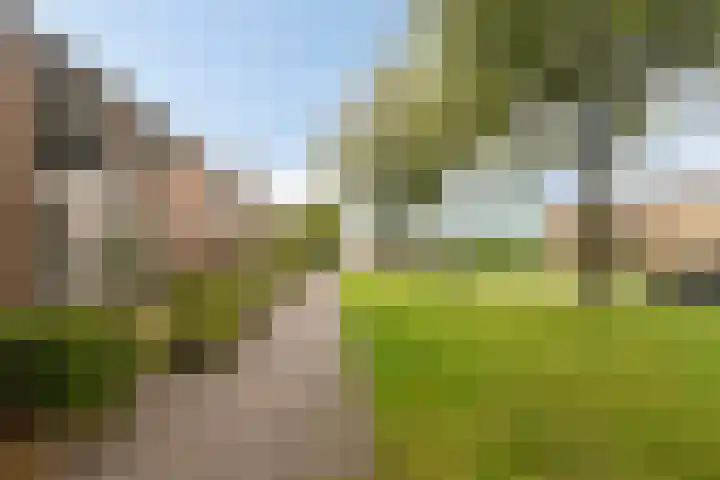 Het Kompas 8 Dronten thumbnail 47