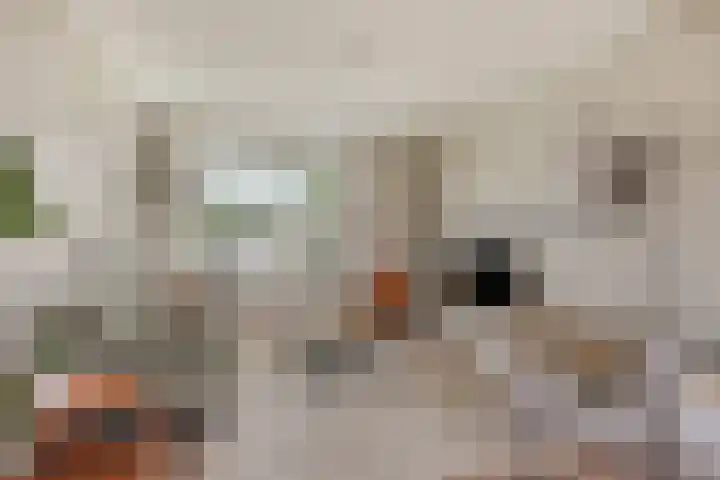 Het Kompas 8 Dronten thumbnail 9