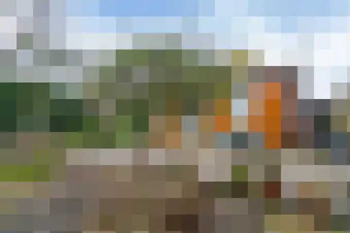 Het Korte Eind 1 6 De Kwakel thumbnail 12