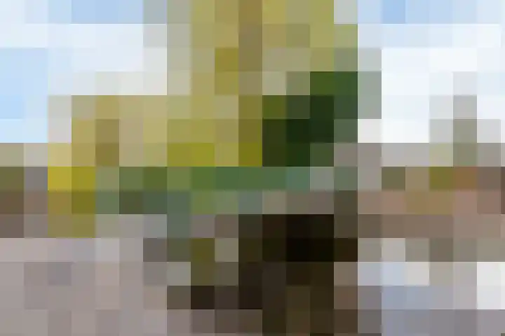 Het Korte Eind 1 6 De Kwakel thumbnail 15