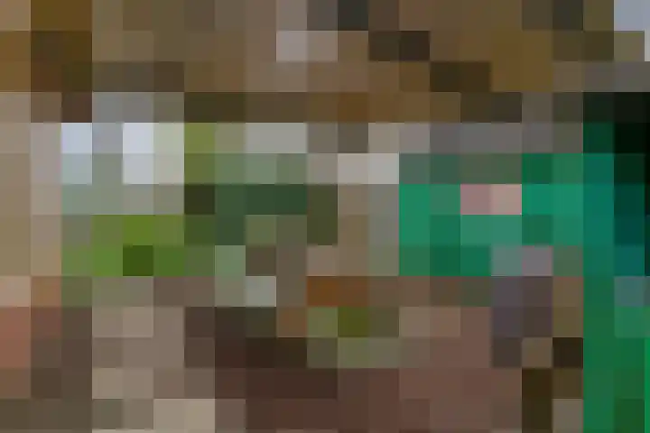 Het Korte Eind 1 6 De Kwakel foto 3