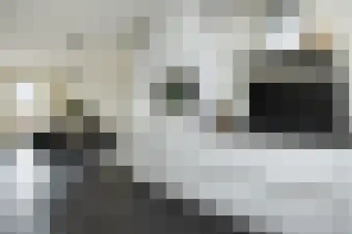Het Kruys 20 Esch thumbnail 14