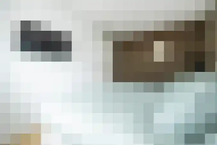 Het Kruys 20 Esch thumbnail 26