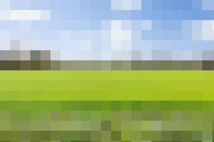 Het Kruys 20 Esch thumbnail 45