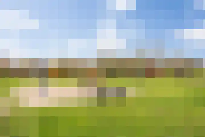 Het Kruys 20 Esch thumbnail 53