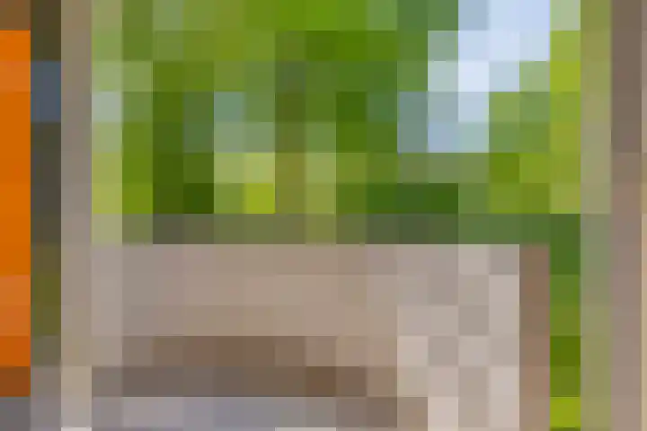 Het Laagt 38 Amsterdam thumbnail 10