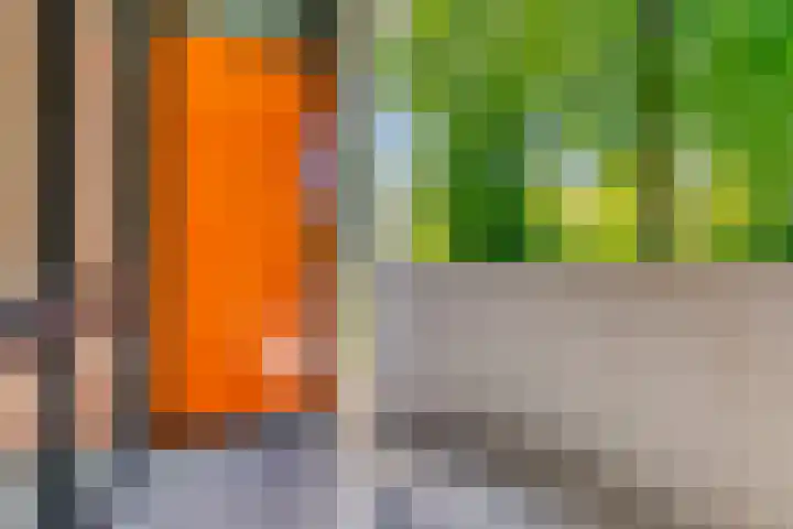 Het Laagt 38 Amsterdam thumbnail 11