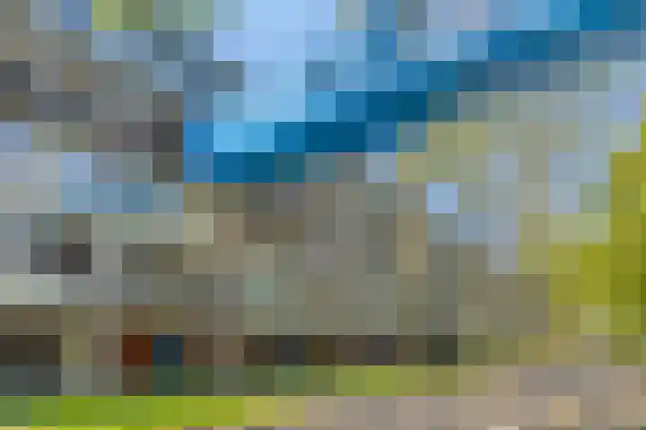 Het Laagt 38 Amsterdam thumbnail 16