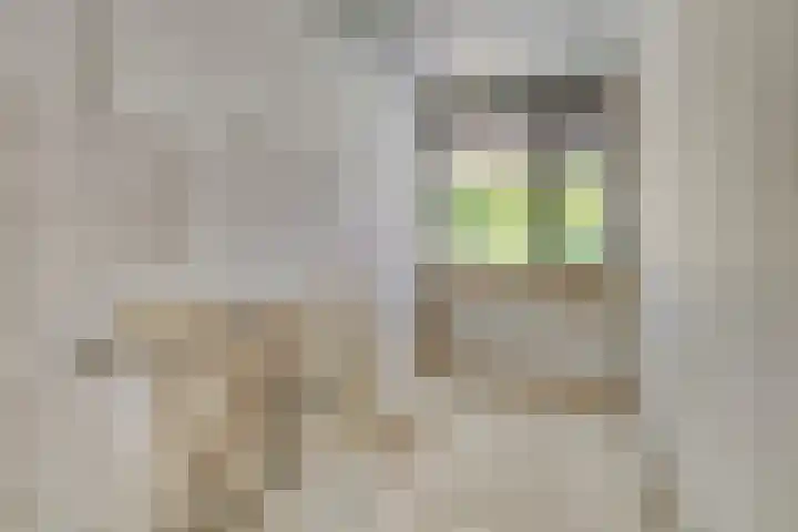 Het Laagt 38 Amsterdam thumbnail 7