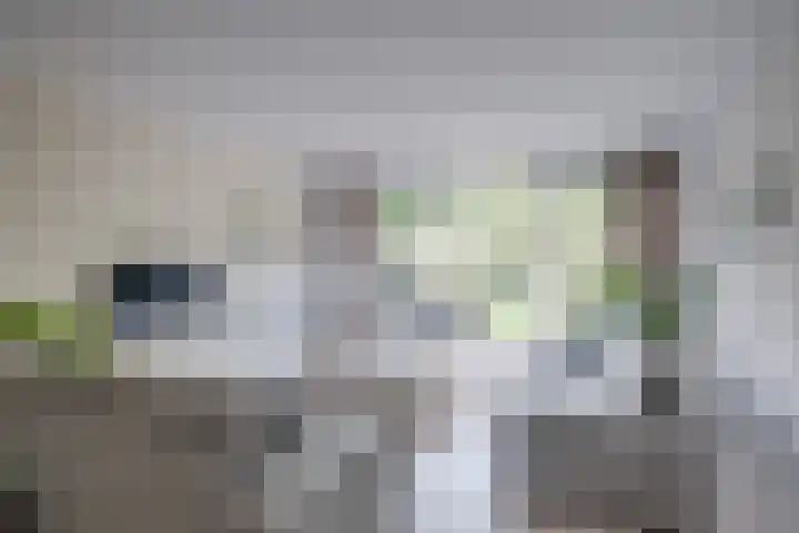 Het Laar 185 Deventer thumbnail 10