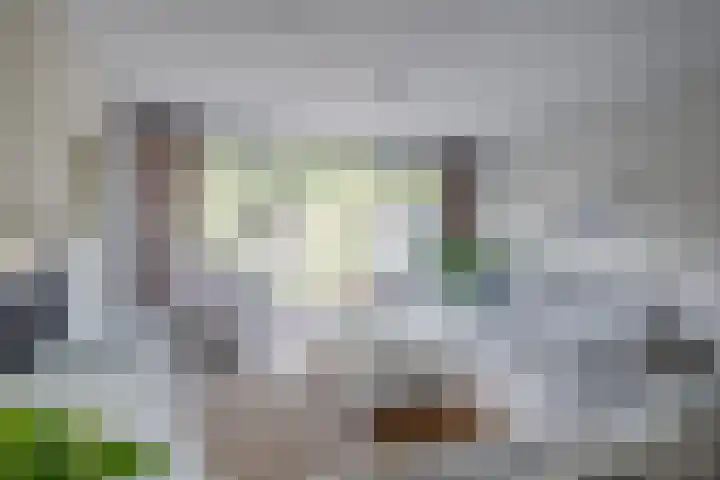 Het Laar 185 Deventer thumbnail 11