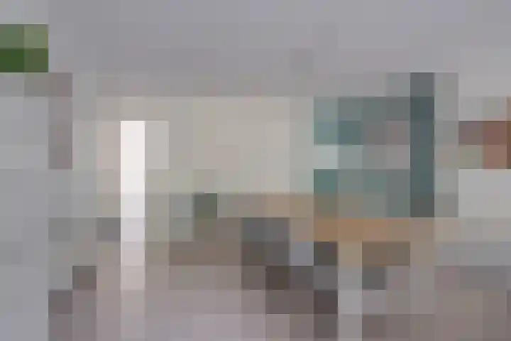 Het Laar 185 Deventer thumbnail 13