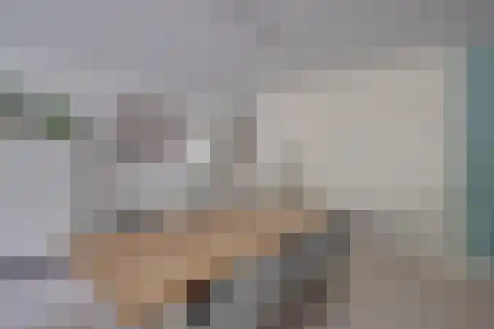 Het Laar 185 Deventer thumbnail 14
