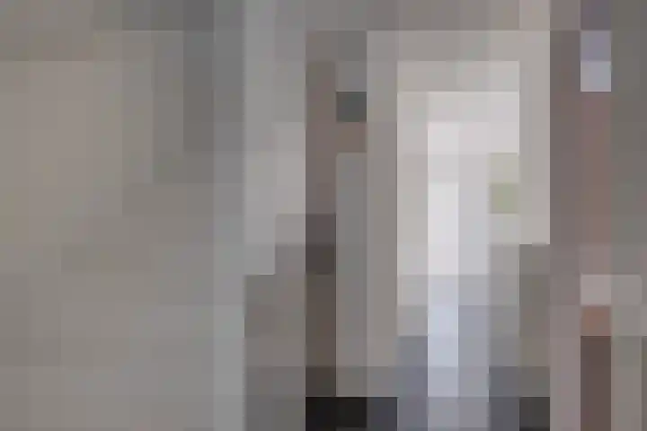 Het Laar 185 Deventer thumbnail 15