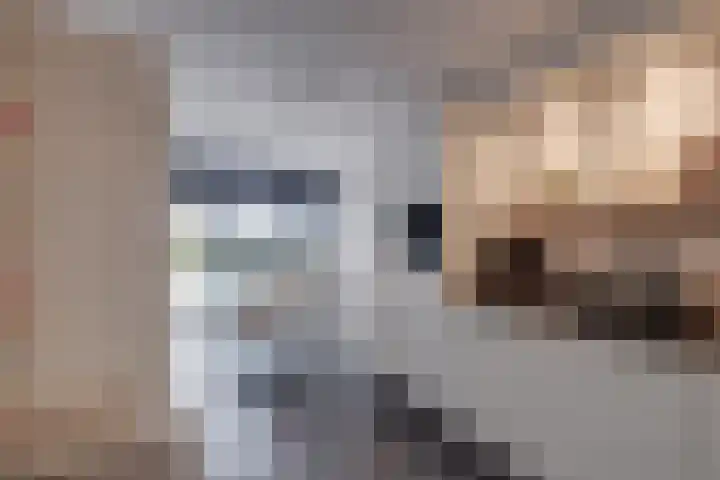 Het Laar 185 Deventer thumbnail 16
