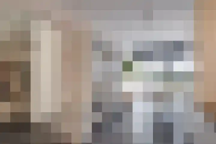 Het Laar 185 Deventer thumbnail 17