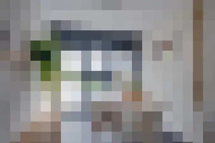 Het Laar 185 Deventer thumbnail 18