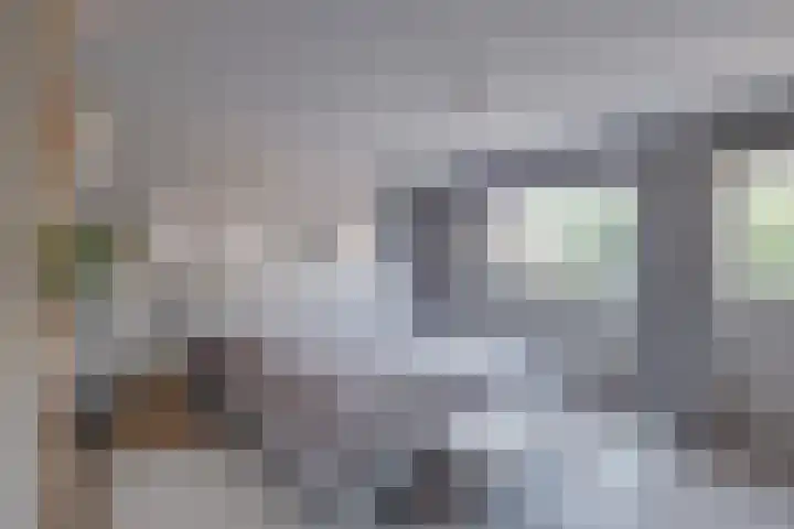Het Laar 185 Deventer thumbnail 23