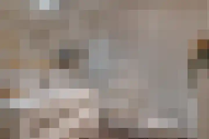 Het Laar 185 Deventer thumbnail 31