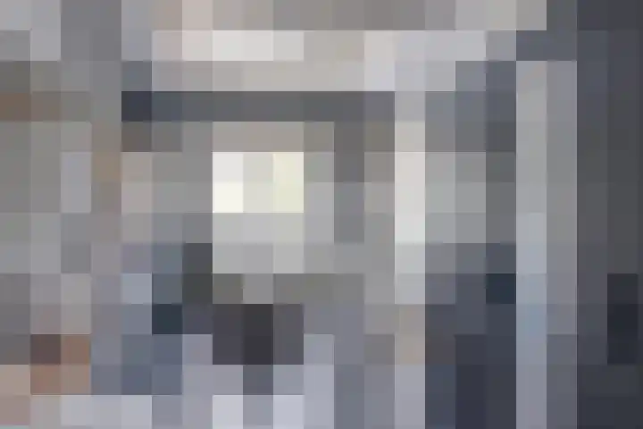 Het Laar 185 Deventer thumbnail 35