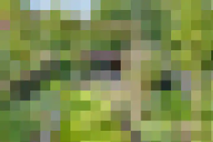 Het Laar 185 Deventer thumbnail 38