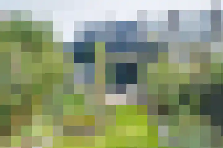 Het Laar 185 Deventer thumbnail 41