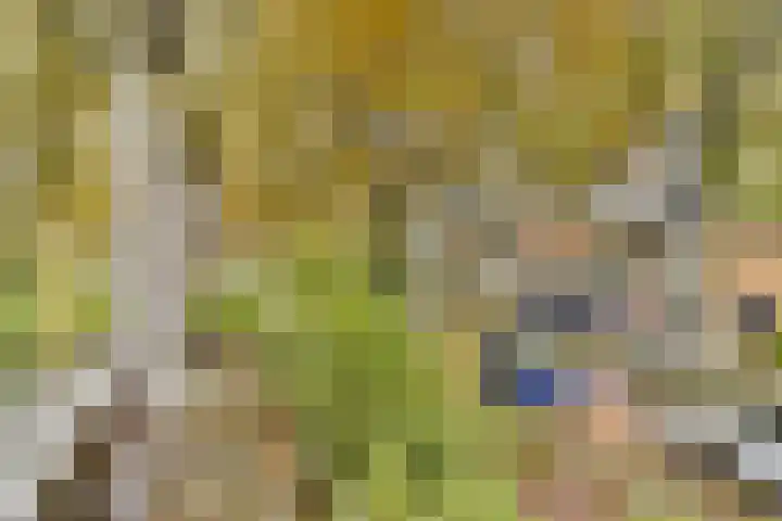 Het Laar 185 Deventer thumbnail 48