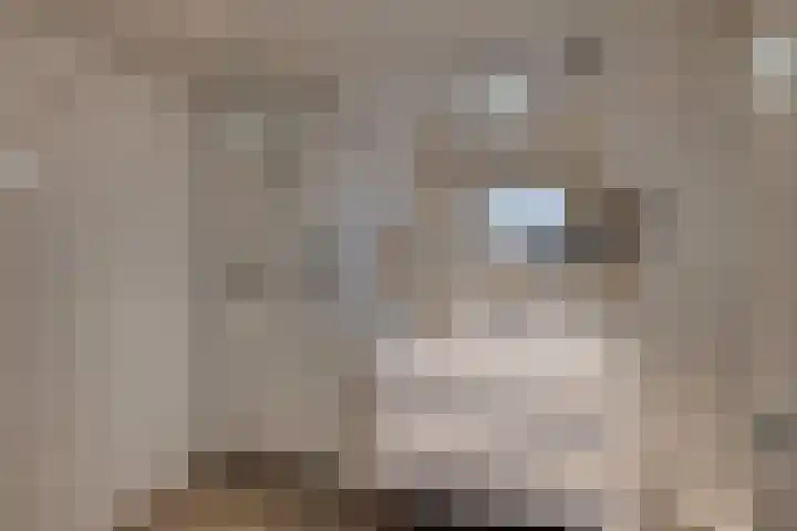 Het Laar 185 Deventer thumbnail 5