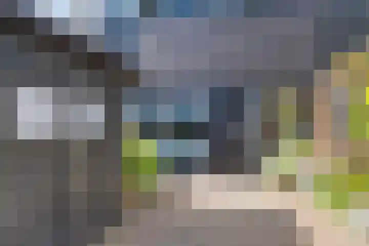 Het Laar 185 Deventer thumbnail 7