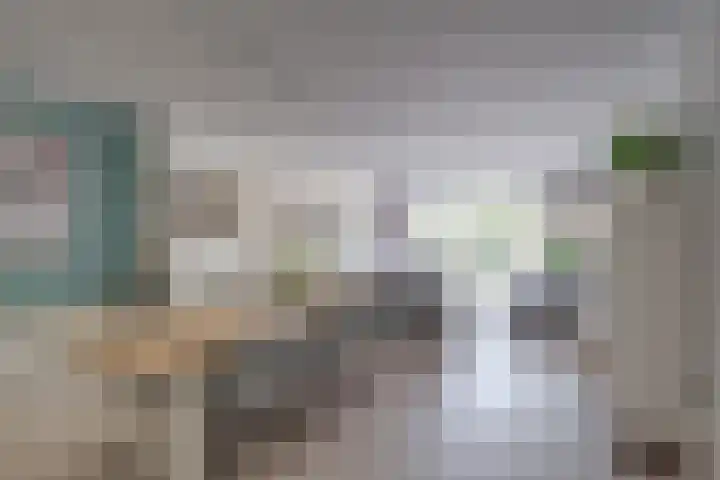 Het Laar 185 Deventer thumbnail 9