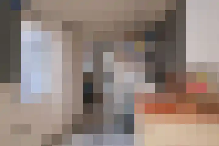 Het Laar 6 Almelo thumbnail 21