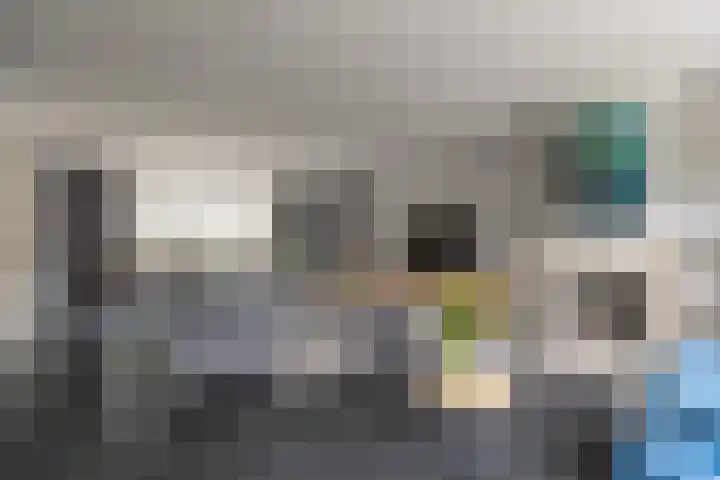 Het Laar 68 Zundert thumbnail 14