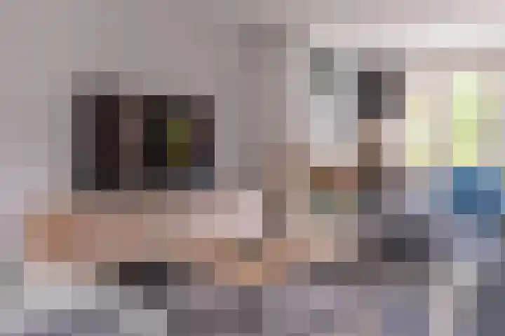 Het Laar 68 Zundert thumbnail 17
