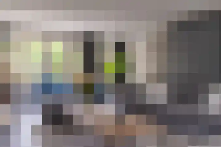Het Laar 68 Zundert thumbnail 19