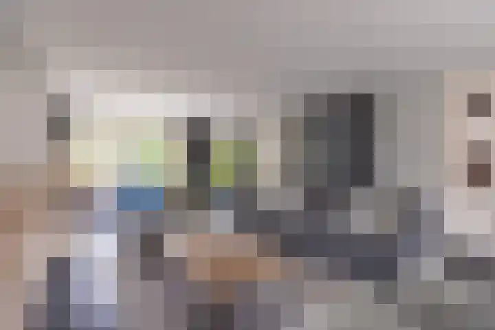 Het Laar 68 Zundert foto 3