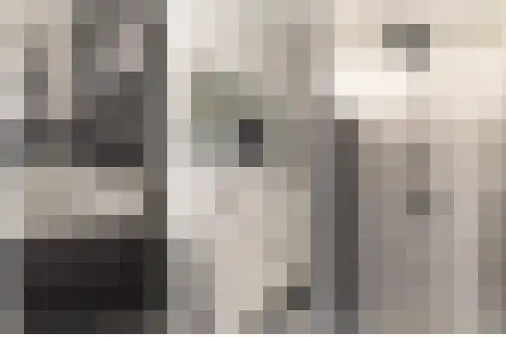 Het Laar 68 Zundert thumbnail 30
