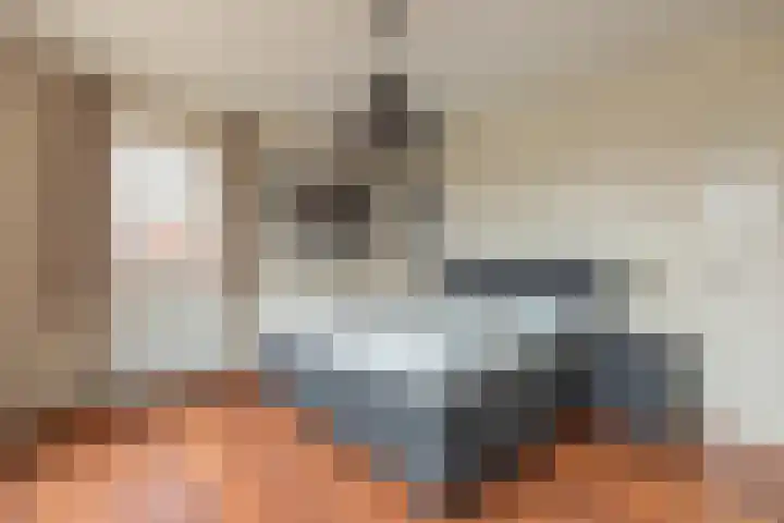 Het Laar 68 Zundert thumbnail 31