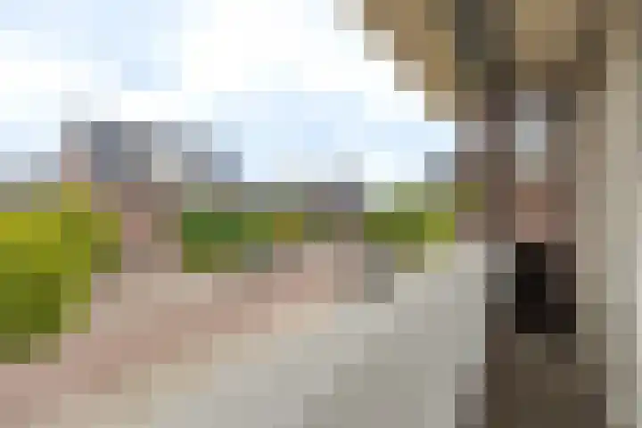 Het Laar 68 Zundert thumbnail 33