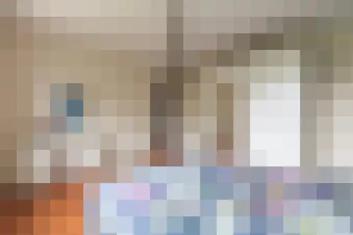 Het Laar 68 Zundert thumbnail 35