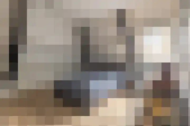 Het Laar 68 Zundert thumbnail 39