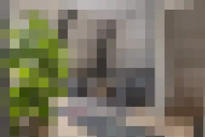 Het Laar 68 Zundert thumbnail 41