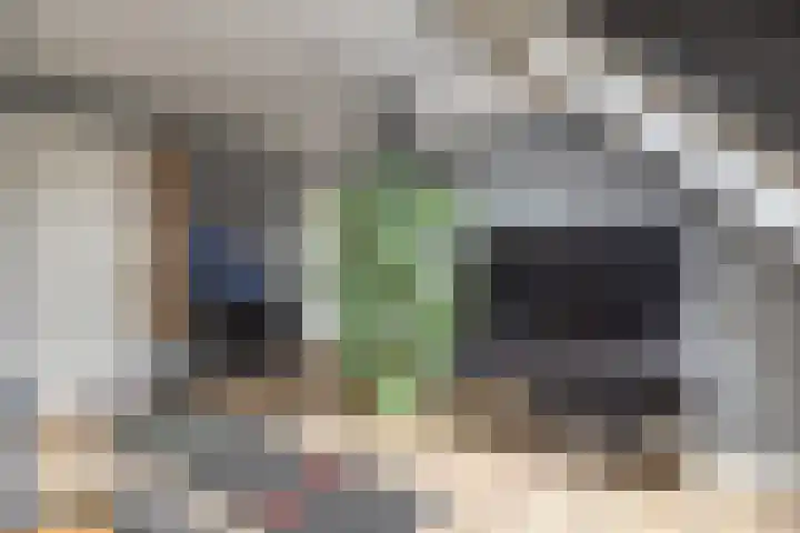 Het Laar 68 Zundert thumbnail 42