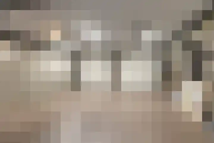 Het Laar 68 Zundert thumbnail 46