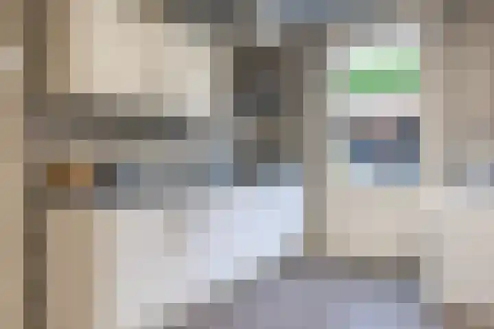 Het Laar 68 Zundert thumbnail 47