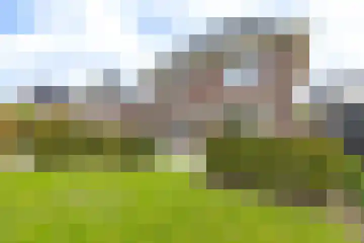 Het Laar 68 Zundert thumbnail 48