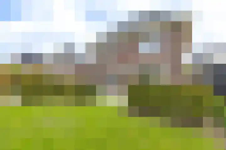 Het Laar 68 Zundert thumbnail 5