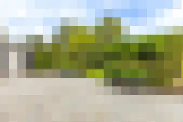 Het Laar 68 Zundert thumbnail 51