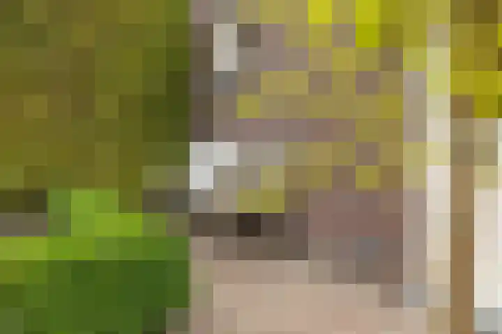 Het Laar 68 Zundert thumbnail 52