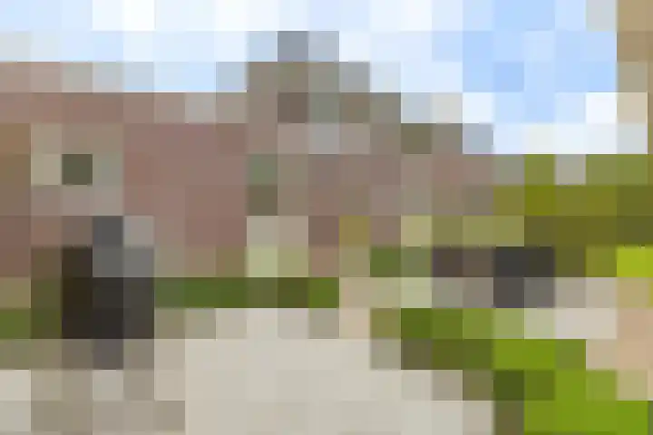 Het Laar 68 Zundert thumbnail 53