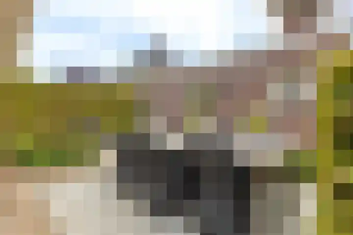 Het Laar 68 Zundert thumbnail 54